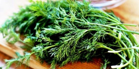 5 Načina kako pripremiti kopar za zimu i zadržati njegov okus